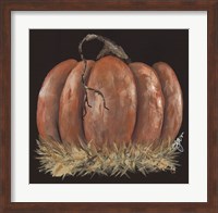 Pumpkin Study Fine Art Print