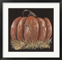 Pumpkin Study Fine Art Print