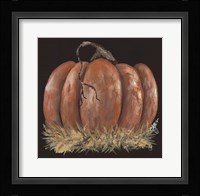 Pumpkin Study Fine Art Print