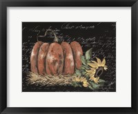 Scripty Sunflower with Pumpkin Fine Art Print