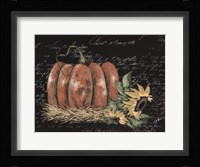 Scripty Sunflower with Pumpkin Fine Art Print