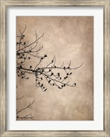 At Rest in the Lake Fog Fine Art Print