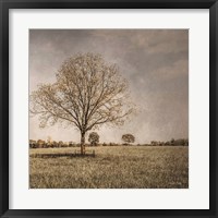 Spring Awakening Fine Art Print