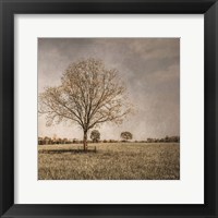 Spring Awakening Fine Art Print