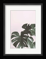 Awaiting Fine Art Print