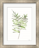 Leafy Stem 1 Fine Art Print