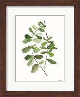 Leafy Stem 2 Fine Art Print