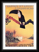 L'Amazone les Antilles Fine Art Print