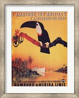 L'Amazone les Antilles Fine Art Print