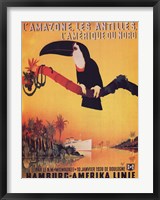 L'Amazone les Antilles Fine Art Print