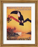 L'Amazone les Antilles Fine Art Print