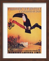 L'Amazone les Antilles Fine Art Print