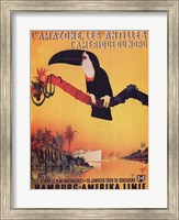 L'Amazone les Antilles Fine Art Print