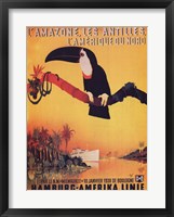 L'Amazone les Antilles Fine Art Print