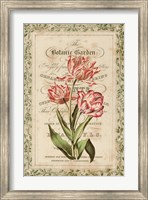 Botanic Garden Fine Art Print