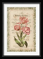 Botanic Garden Fine Art Print