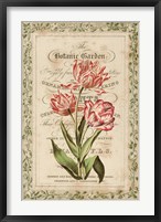 Botanic Garden Framed Print