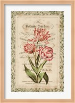 Botanic Garden Fine Art Print