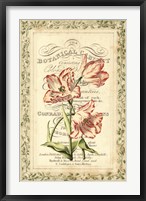 Botanic Cabinet Framed Print