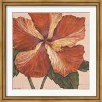 Island Hibiscus I Fine Art Print