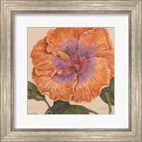 Island Hibiscus II Fine Art Print