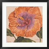 Island Hibiscus II Framed Print