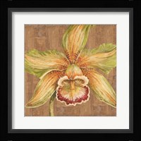 Aloha Beauty I Fine Art Print