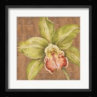 Aloha Beauty II Fine Art Print