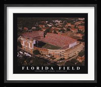 Florida Field-U of Florida Fine Art Print