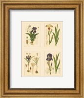 Miniature Botanicals I Fine Art Print