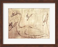 Sepia Swan Study Fine Art Print