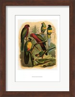 Tropical Birds II Fine Art Print