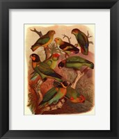 Tropical Birds IV Fine Art Print