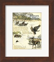 Wildlife Fine Art Print