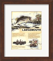 Large Mouth Fine Art Print