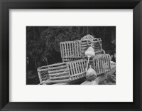 Trapped Fine Art Print