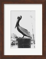 Pelican Perch Fine Art Print