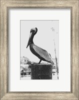 Pelican Perch Fine Art Print