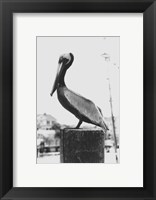 Pelican Perch Fine Art Print