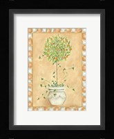 Tuscan Fruit I Framed Print