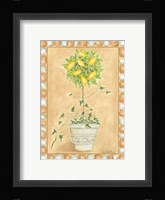 Tuscan Fruit II Framed Print