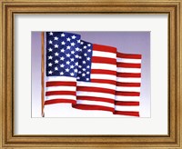American Flag (H) Fine Art Print