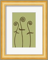 Dichromatic Fiddleheads I Fine Art Print