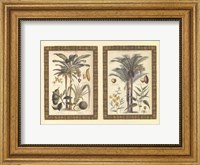 Mini Palms in Rattan Fine Art Print