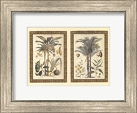 Mini Palms in Rattan Fine Art Print