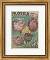 Plantez Des Tulips Fine Art Print