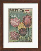 Plantez Des Tulips Fine Art Print