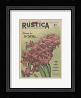 Plantez Des Jacinthes Fine Art Print