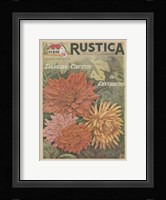 Plantez Des Decoratifs Fine Art Print