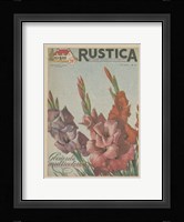 Plantez Des Glaieuls Fine Art Print